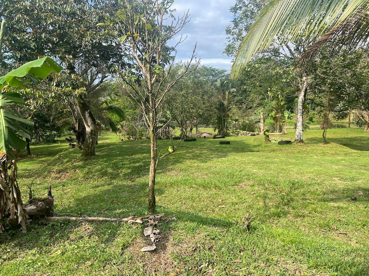Stunning 6.4-Acre Lakefront Estate with Tourism Potential in La Palmera