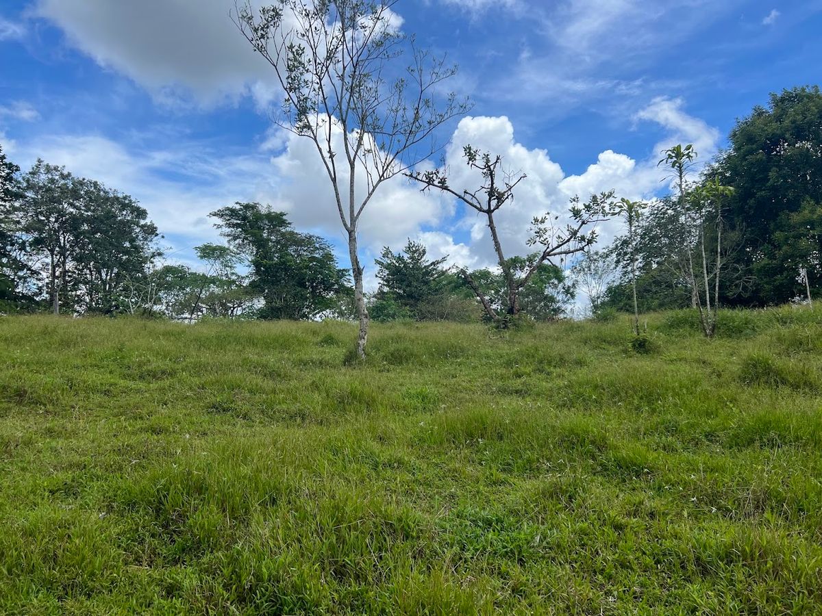 4,036 sqm Versatile Rural Lot in San Jorge de Cutris, San Carlos
