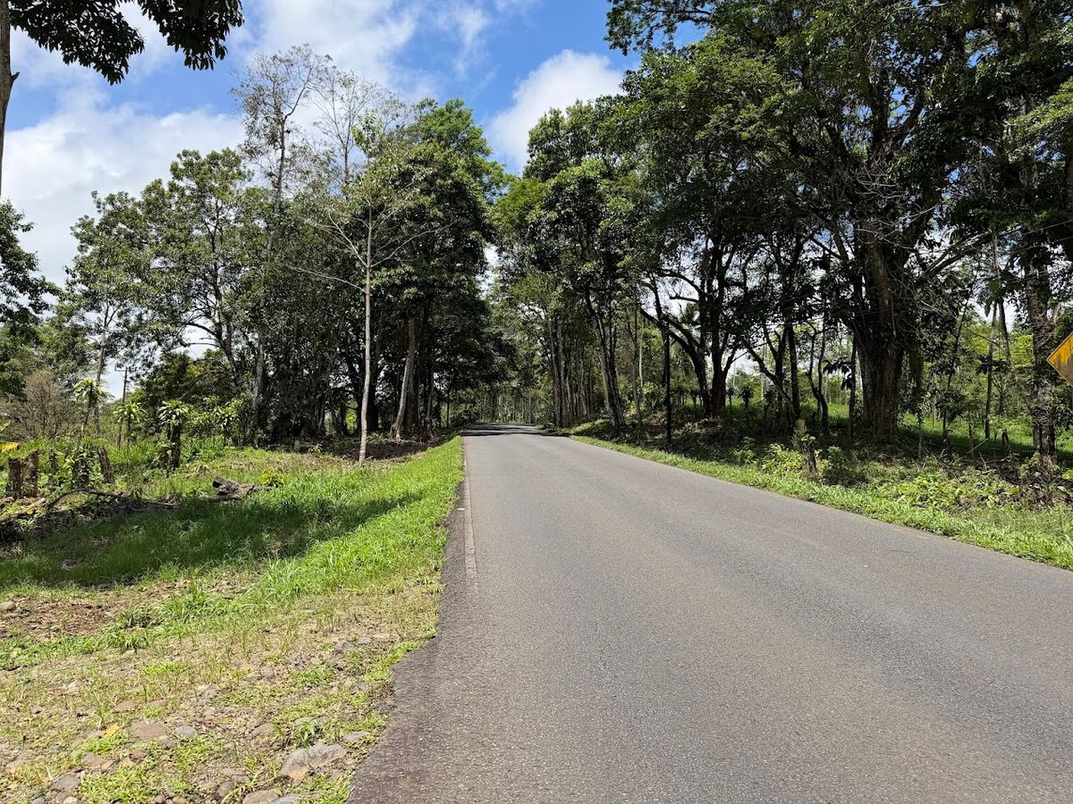 Finca Ganadera entre Upala y Bijagua: Dividida por Vía Nacional