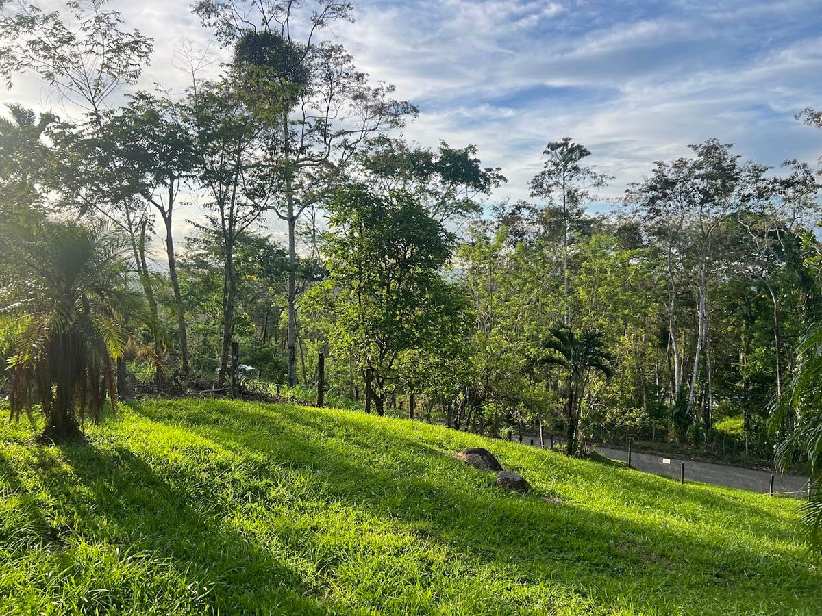 Lot in Cuestillas, Florencia with Panoramic Views