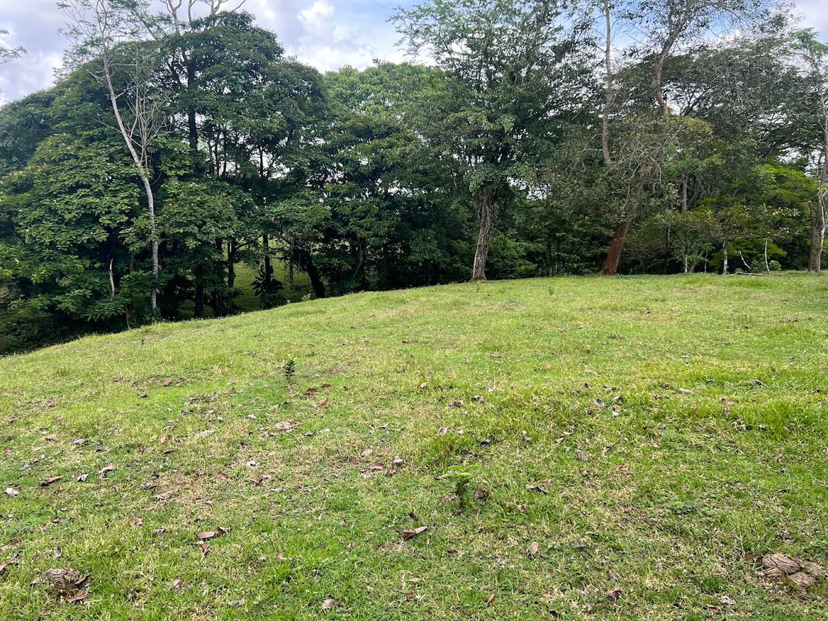 4,036 sqm Versatile Rural Lot in San Jorge de Cutris, San Carlos