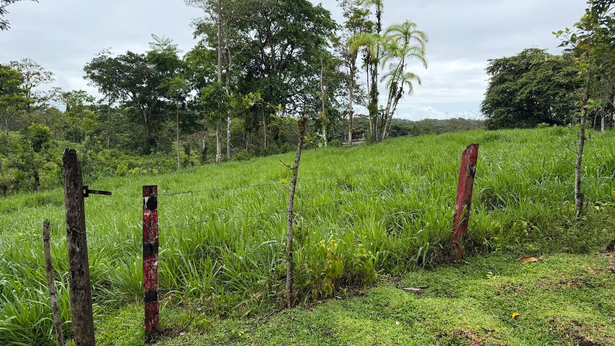 Finca Ganadera entre Upala y Bijagua: Dividida por Vía Nacional