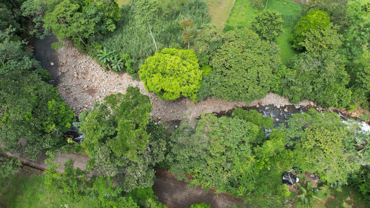 Land for Country Home in La Tigra, San Carlos: Bordering River