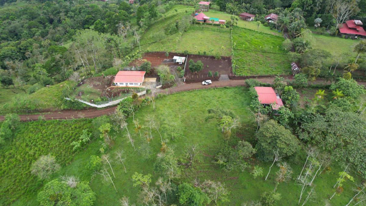Lotes en Cedral de Ciudad Quesada: Topografía Plana y Paz