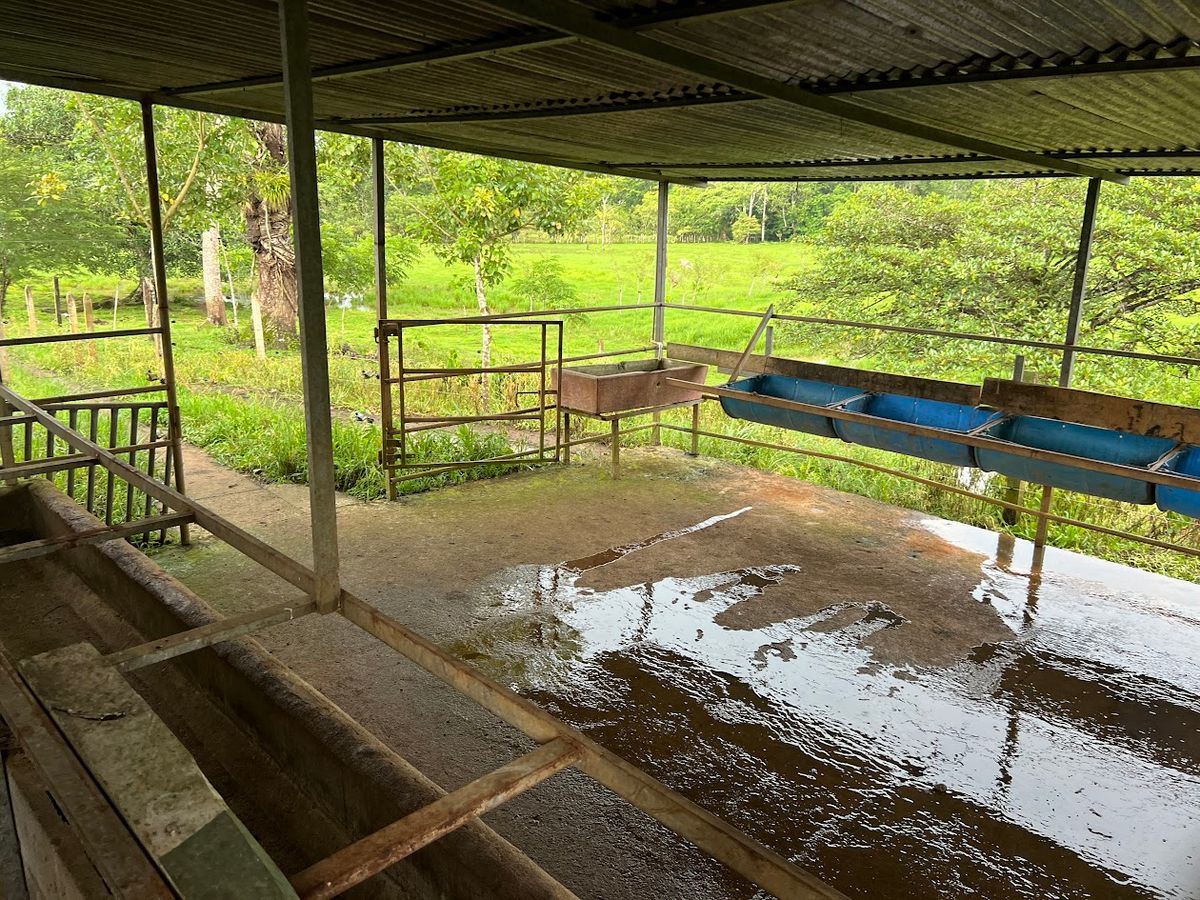 7-Hectare Self-Sufficient Dairy Farm and Cabin in Los Chiles
