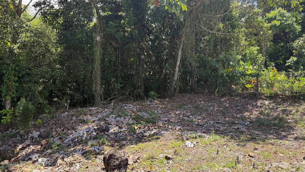 Private lot in San Gerardo, Ciudad Quesada