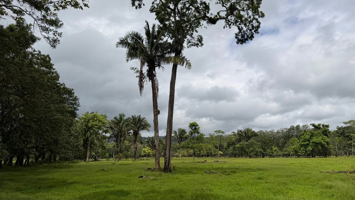 Finca Ganadera entre Upala y Bijagua: Dividida por Vía Nacional