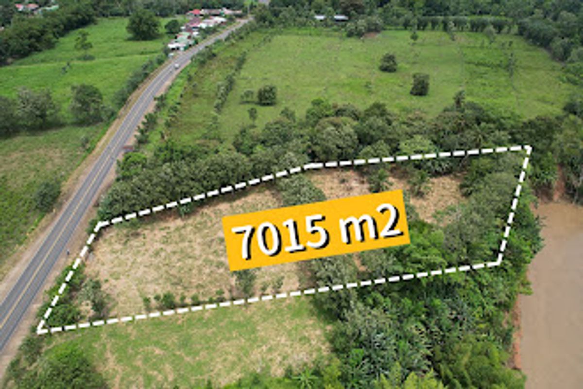 Commercial Land in Boca Arenal: Near Muelle Logistics Hub & Free Trade Zone.