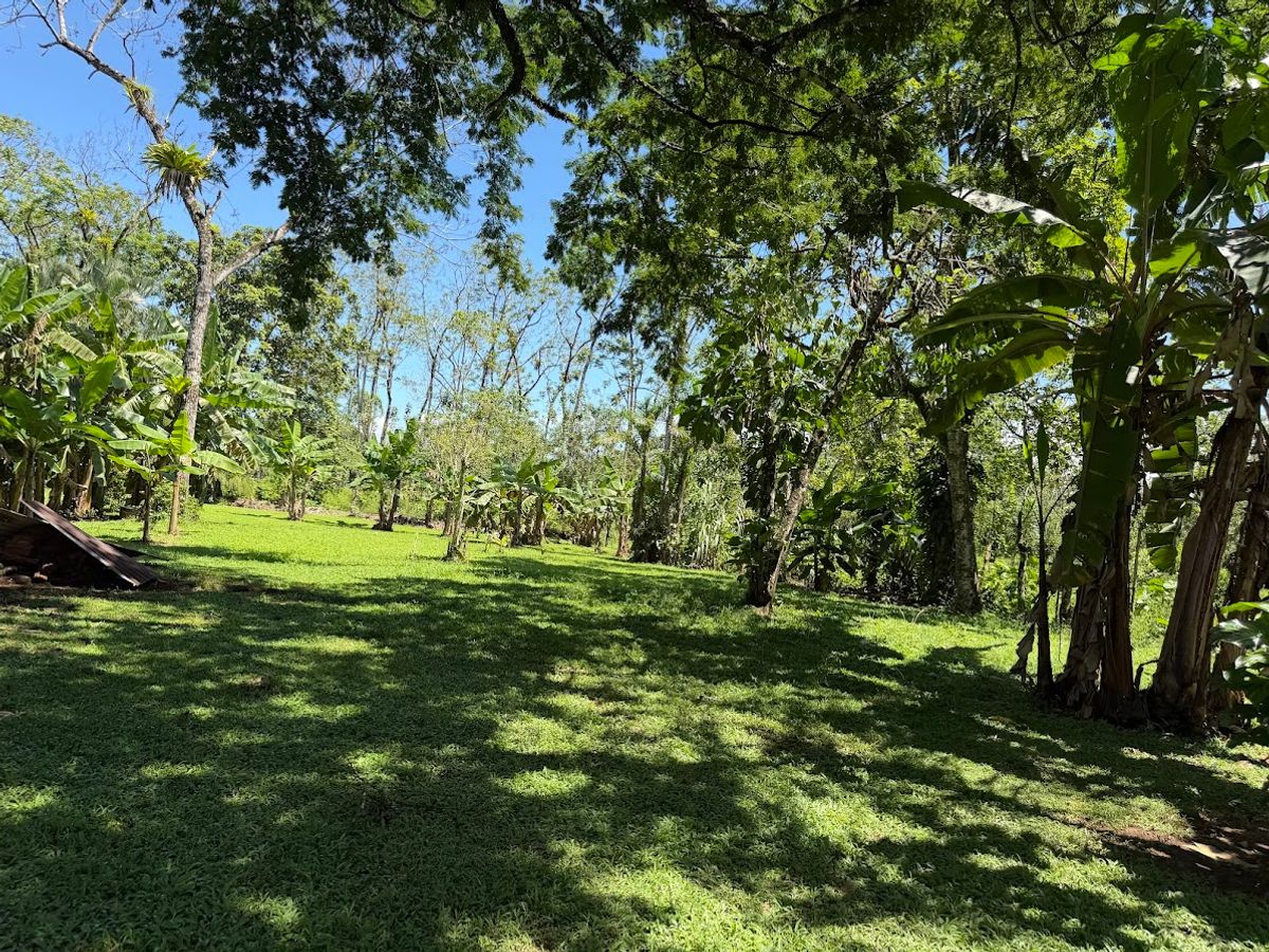 3.6-Hectare Livestock & Commercial Farm in La Vega: Main Road Frontage