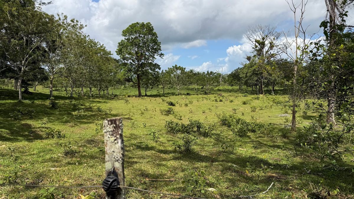 Fully Operational Livestock Development in Cuatro Esquinas