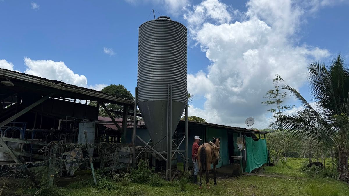 Finca Ganadera entre Upala y Bijagua: Dividida por Vía Nacional