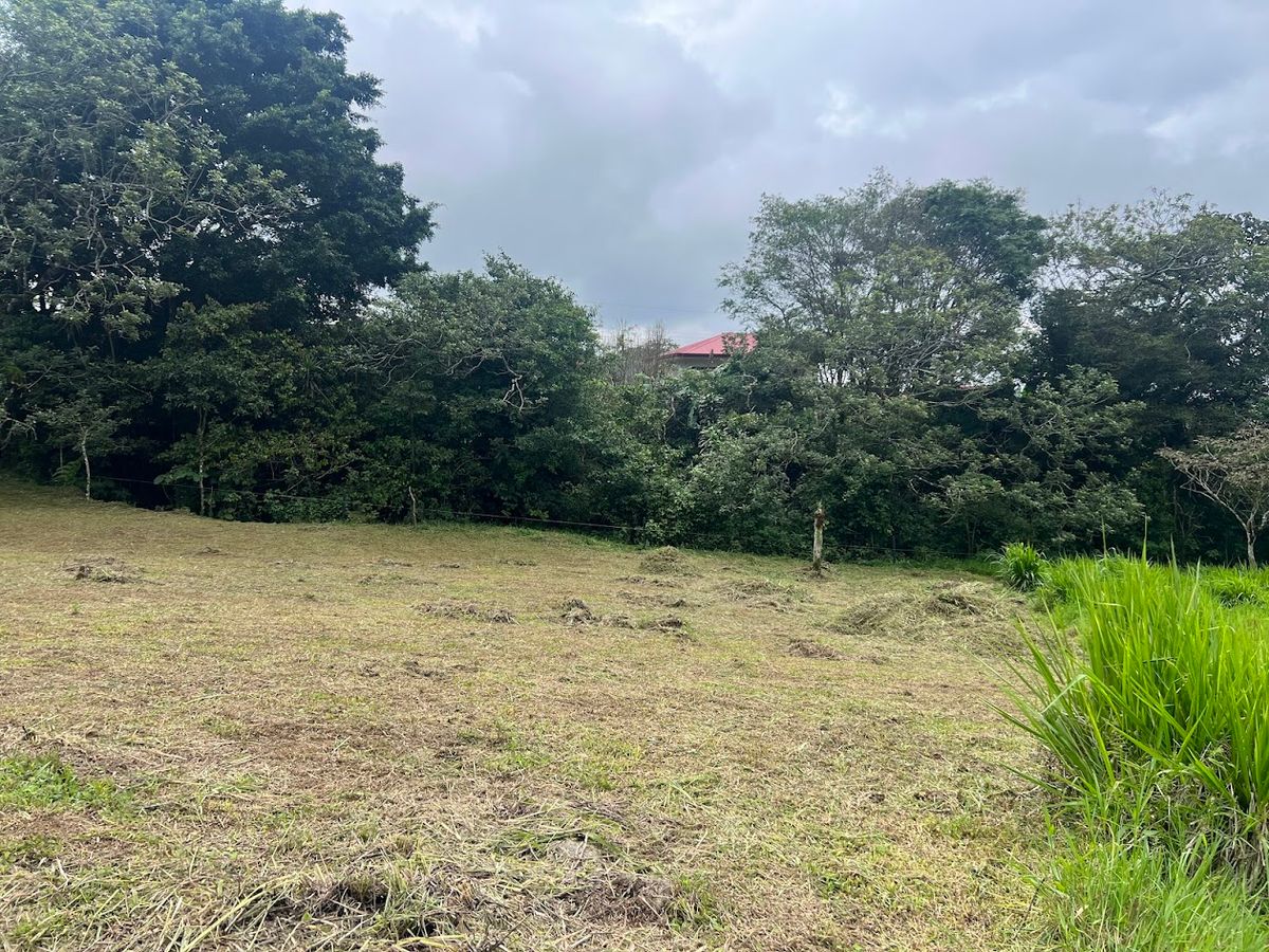 3,000 sqm Flat Lot in San Gerardo: Nature & Investment Opportunity