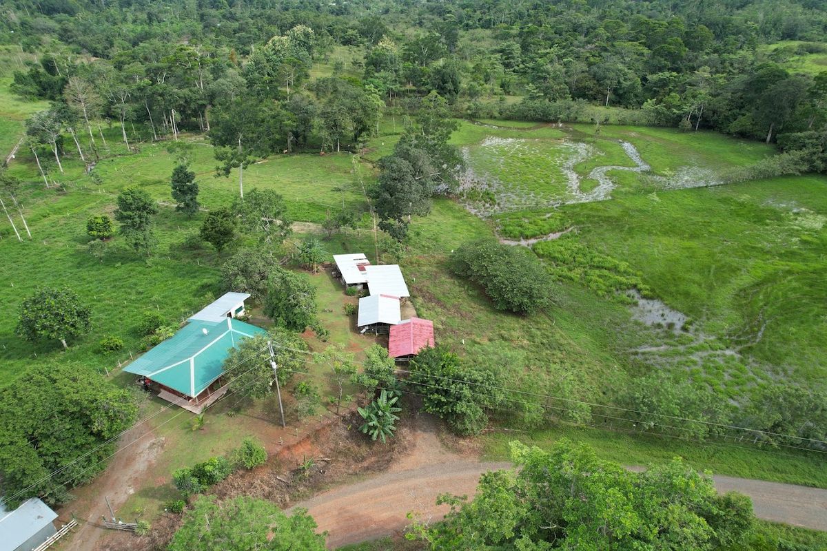 7-Hectare Self-Sufficient Dairy Farm and Cabin in Los Chiles