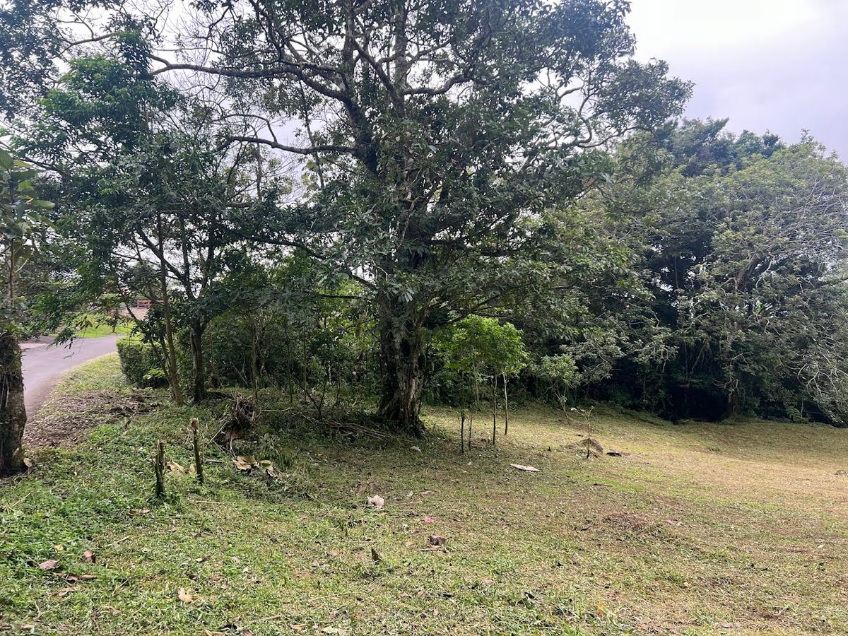 3,000 sqm Flat Lot in San Gerardo: Nature & Investment Opportunity