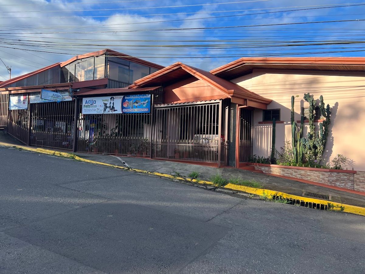 Prime Commercial Property in Downtown Ciudad Quesada: High-Yield Investment