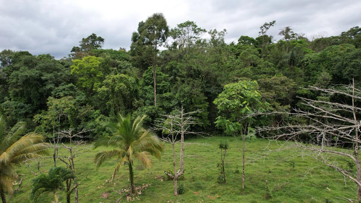 Finca Turística y Agropecuaria en San Carlos: Con Nacientes y Ríos