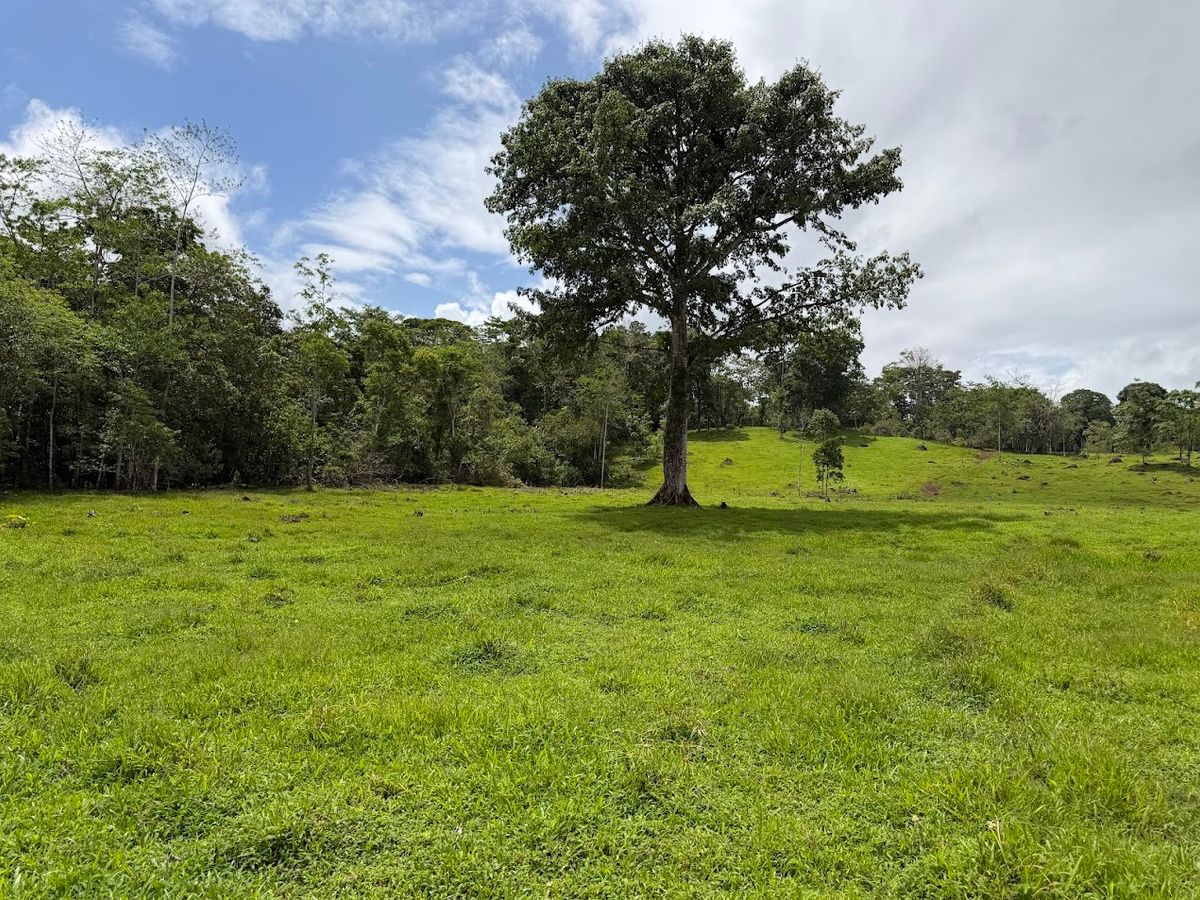 Finca Ganadera entre Upala y Bijagua: Dividida por Vía Nacional