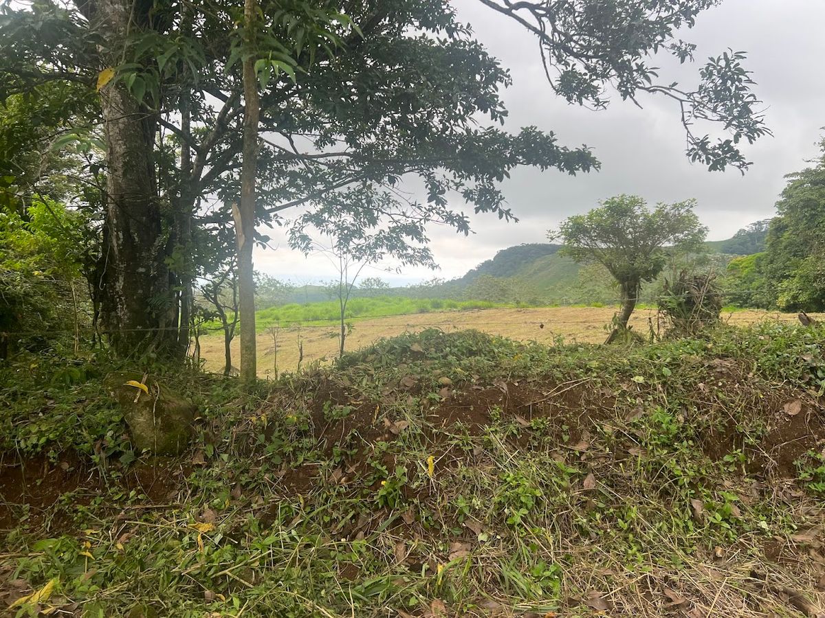 3,000 sqm Flat Lot in San Gerardo: Nature & Investment Opportunity