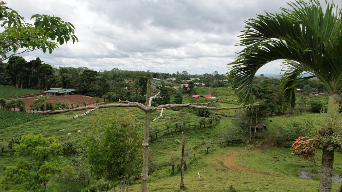 Finca Turística y Agropecuaria en San Carlos: Con Nacientes y Ríos