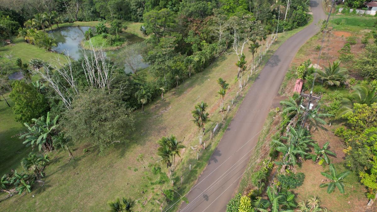 Stunning 6.4-Acre Lakefront Estate with Tourism Potential in La Palmera