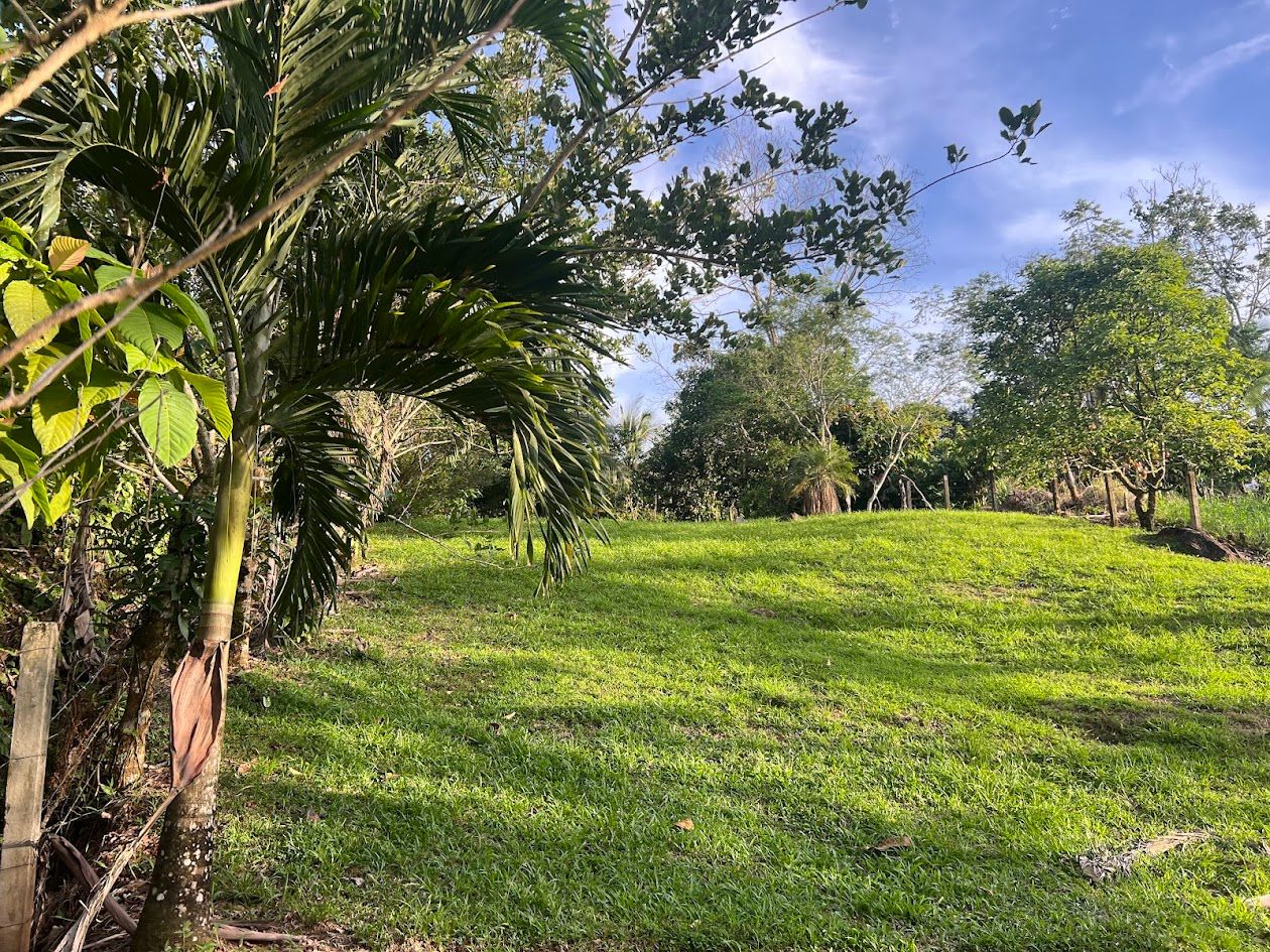 Lote en Cuestillas de Florencia con Vistas Panorámicas