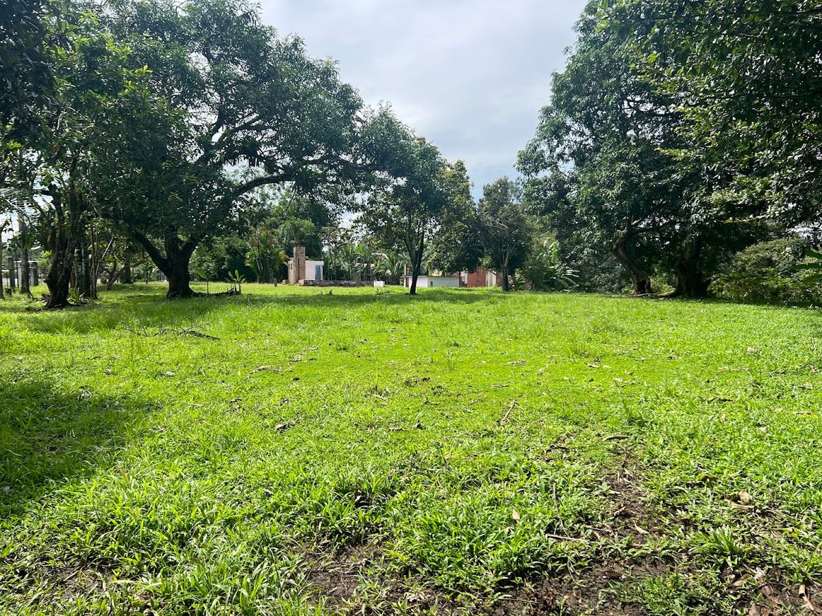 Terreno Comercial en Muelle de San Carlos: Gran Frente y Plusvalía