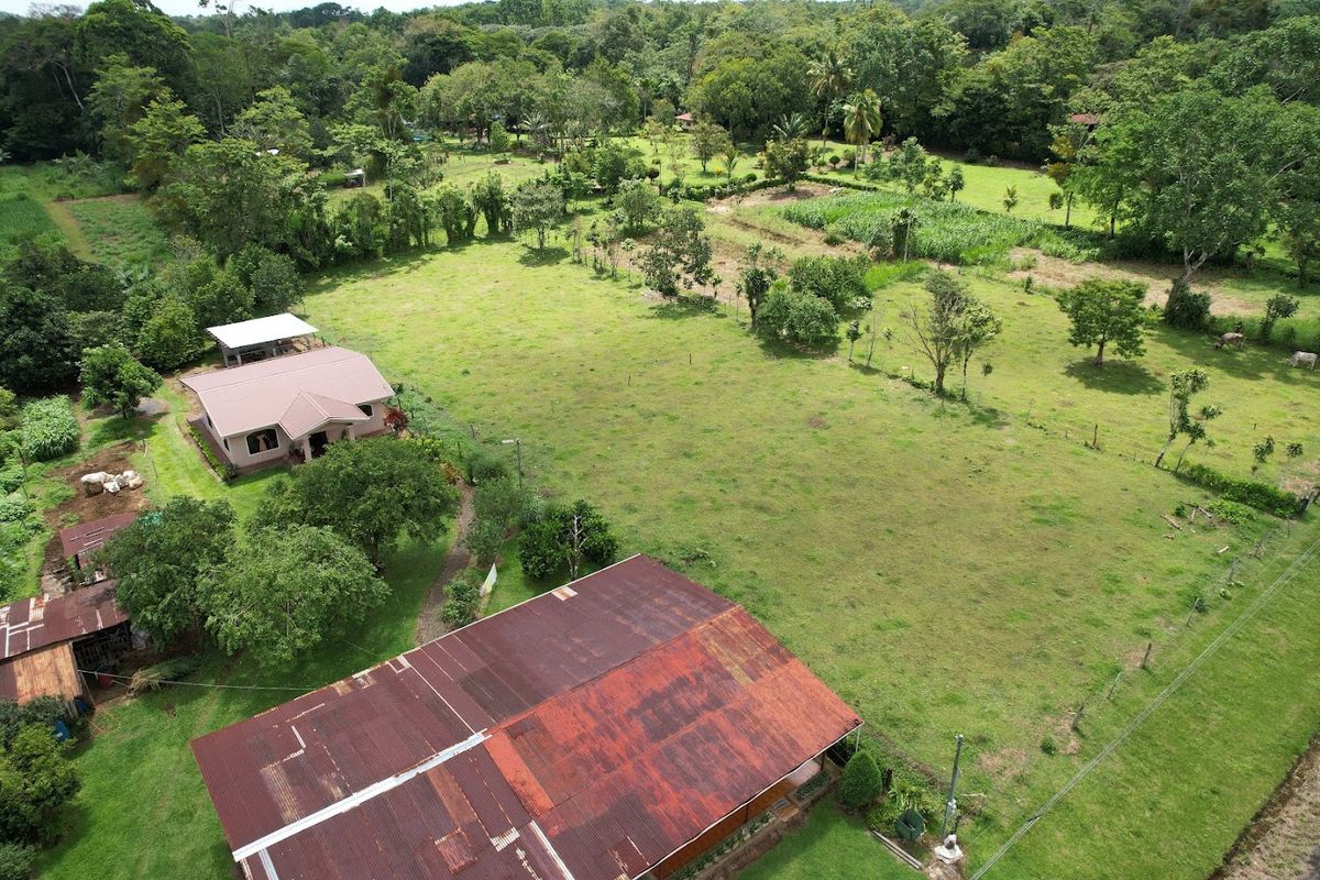 3,000 sqm Flat Lot in La Marina: Ready to Build & Prime Location