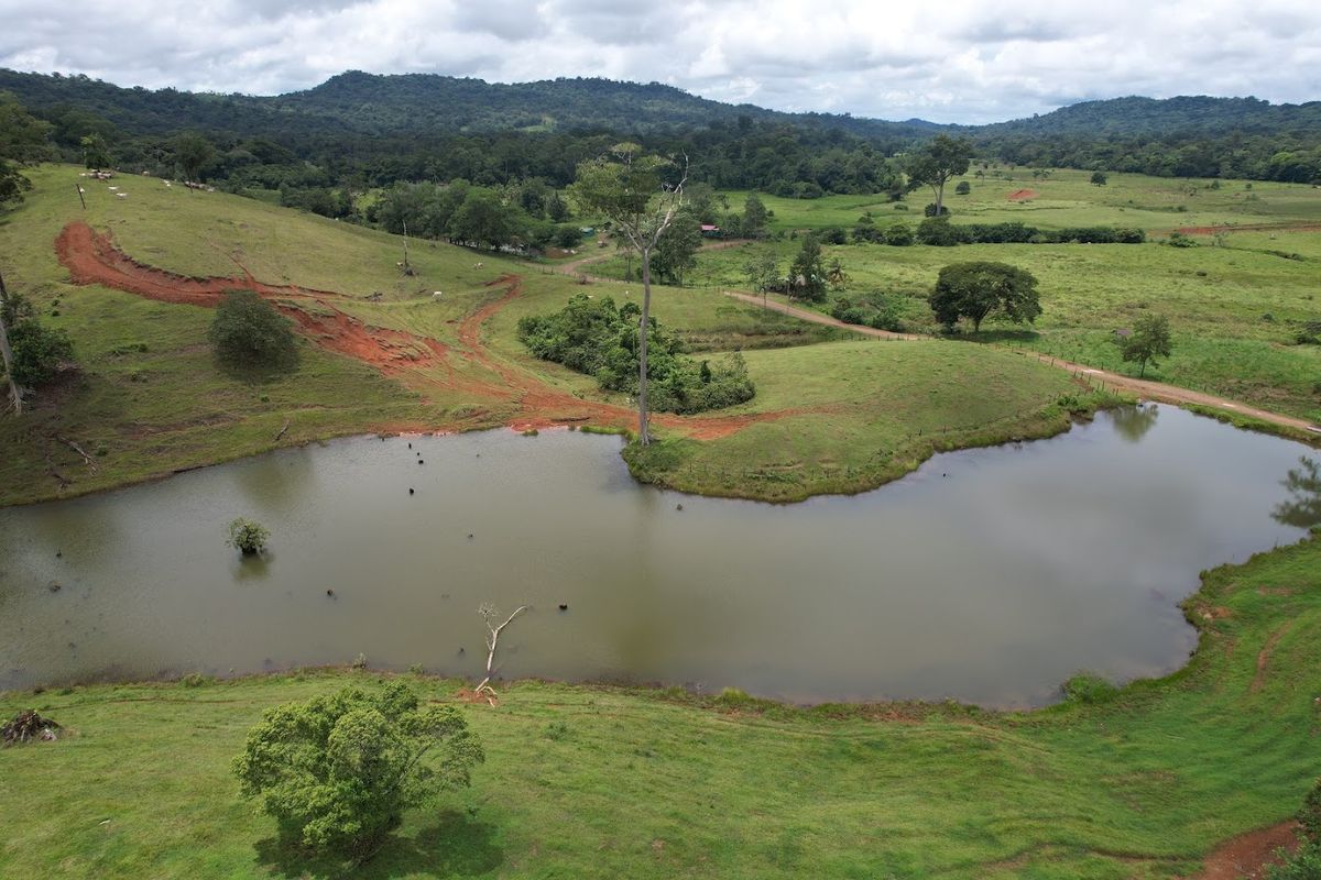Cattle ranch in Costa Rica, San Carlos