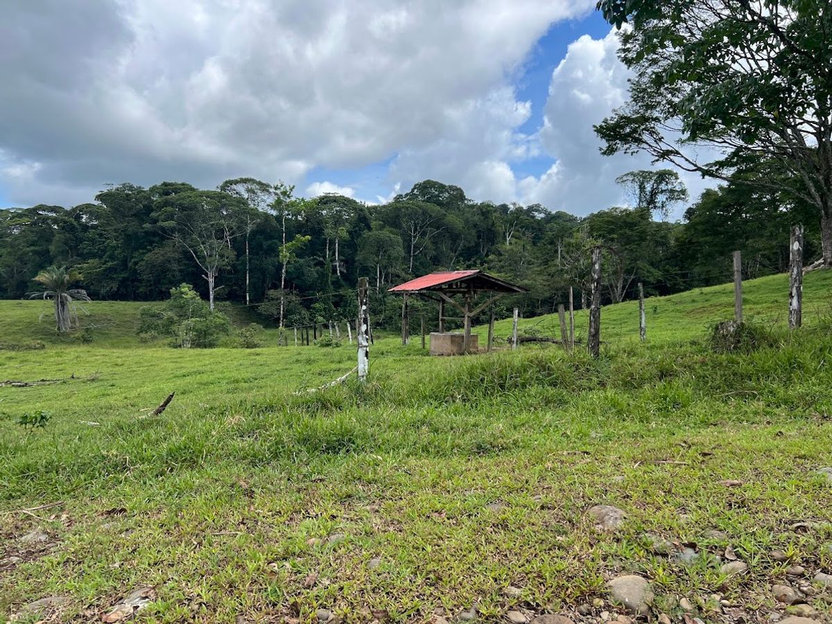 Cattle ranch in Costa Rica, San Carlos