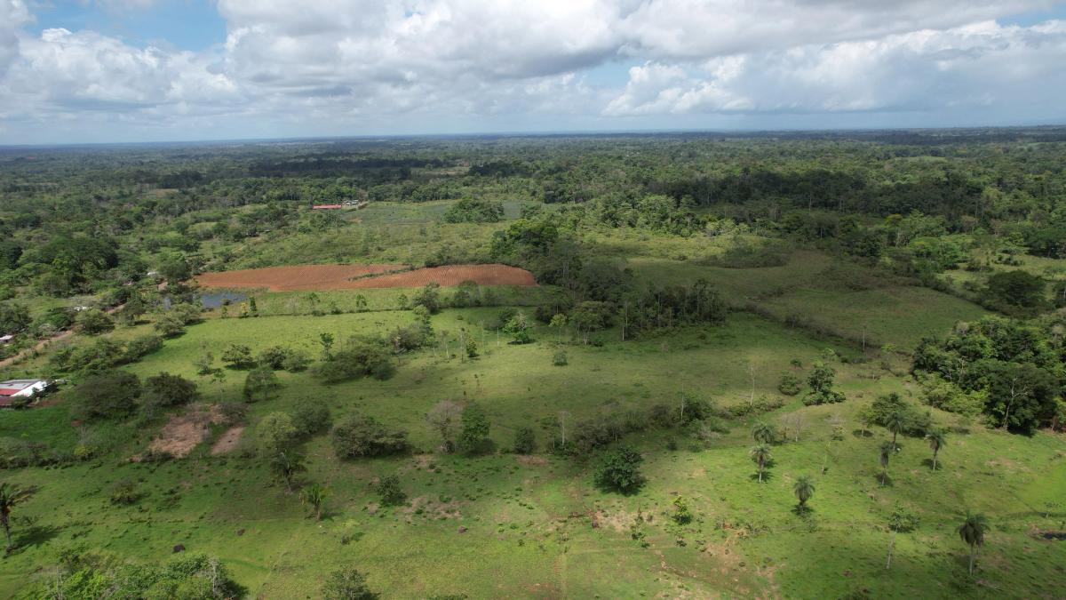 Fully Operational Livestock Development in Cuatro Esquinas