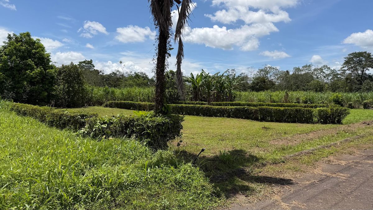 Lote Residencial de 429 m² en Florencia: Privacidad y Gran Potencial