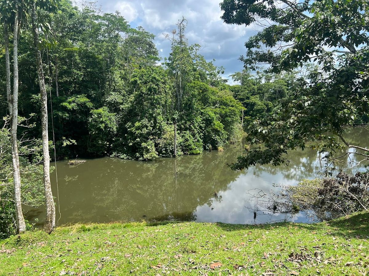 Luxury Lakefront Estate in Cutris: Volcano Views & Nature Sanctuary.