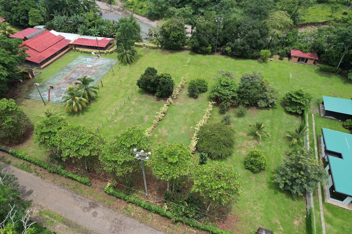 Lot in Cuestillas de Florencia: Privacy and Nature
