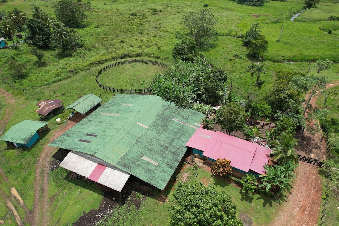 Cattle ranch in Costa Rica, San Carlos