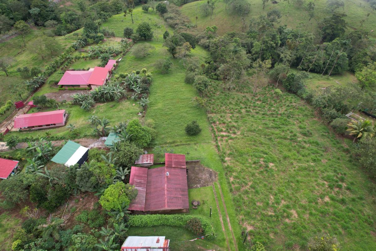 Home with Large Lot for Sale in La Tesalia | San Carlos