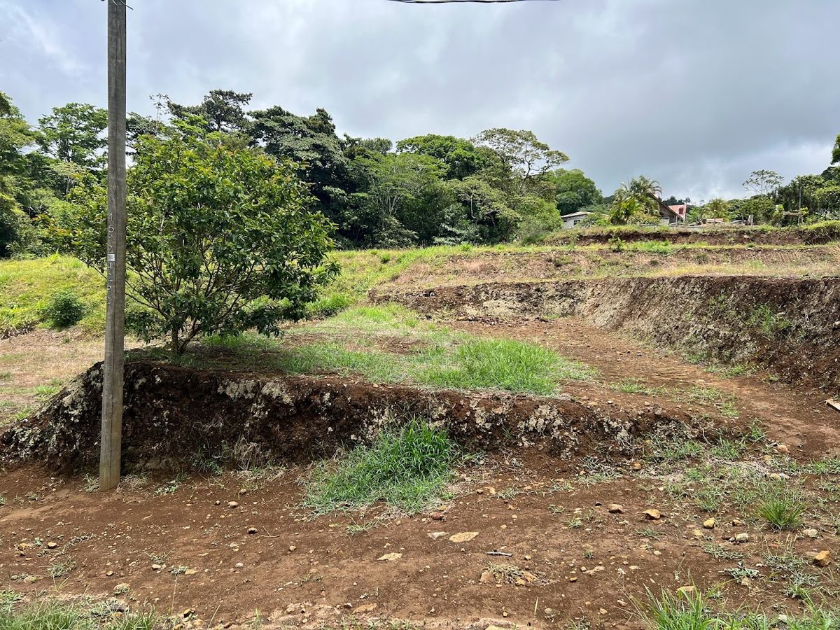 Lotes en La Isla de Ciudad Quesada: Aptos para bonocrédito
