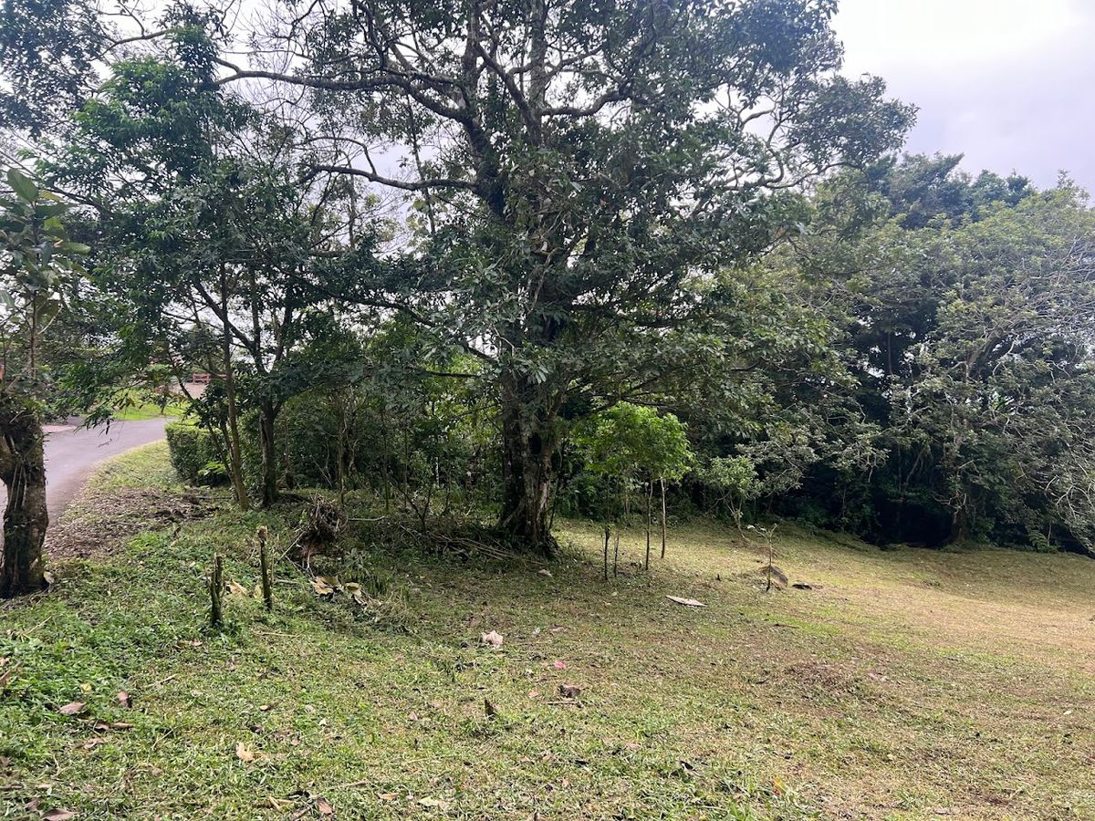 3,000 sqm Flat Lot in San Gerardo: Nature & Investment Opportunity
