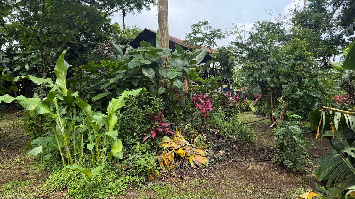 Land for Sale in Las Delicias, Aguas Zarcas: Heritage & Nature