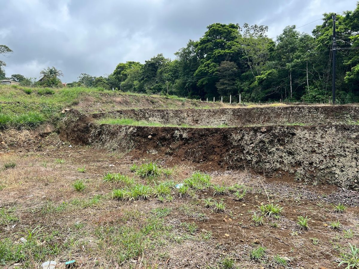 Lotes en La Isla de Ciudad Quesada: Aptos para bonocrédito
