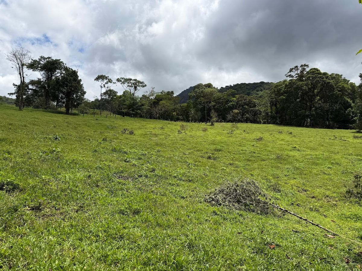 uxury Estate in La Fortuna: Waterfall Views & Mountain Sanctuary