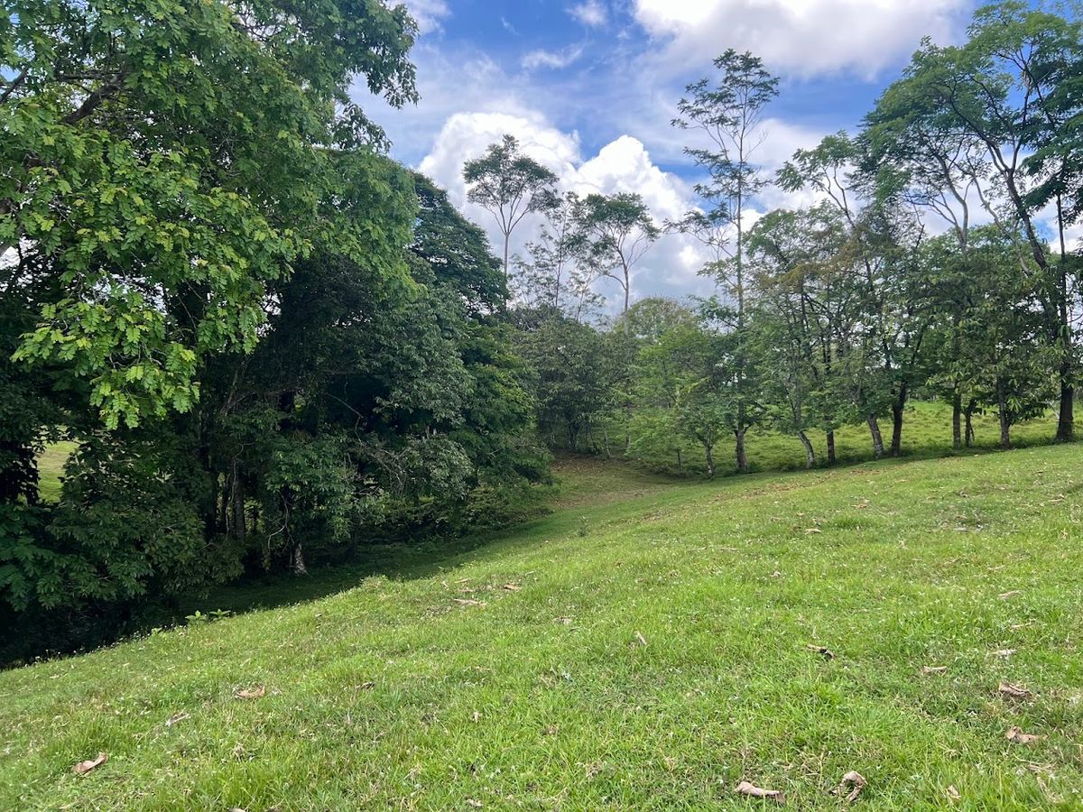 4,036 sqm Versatile Rural Lot in San Jorge de Cutris, San Carlos