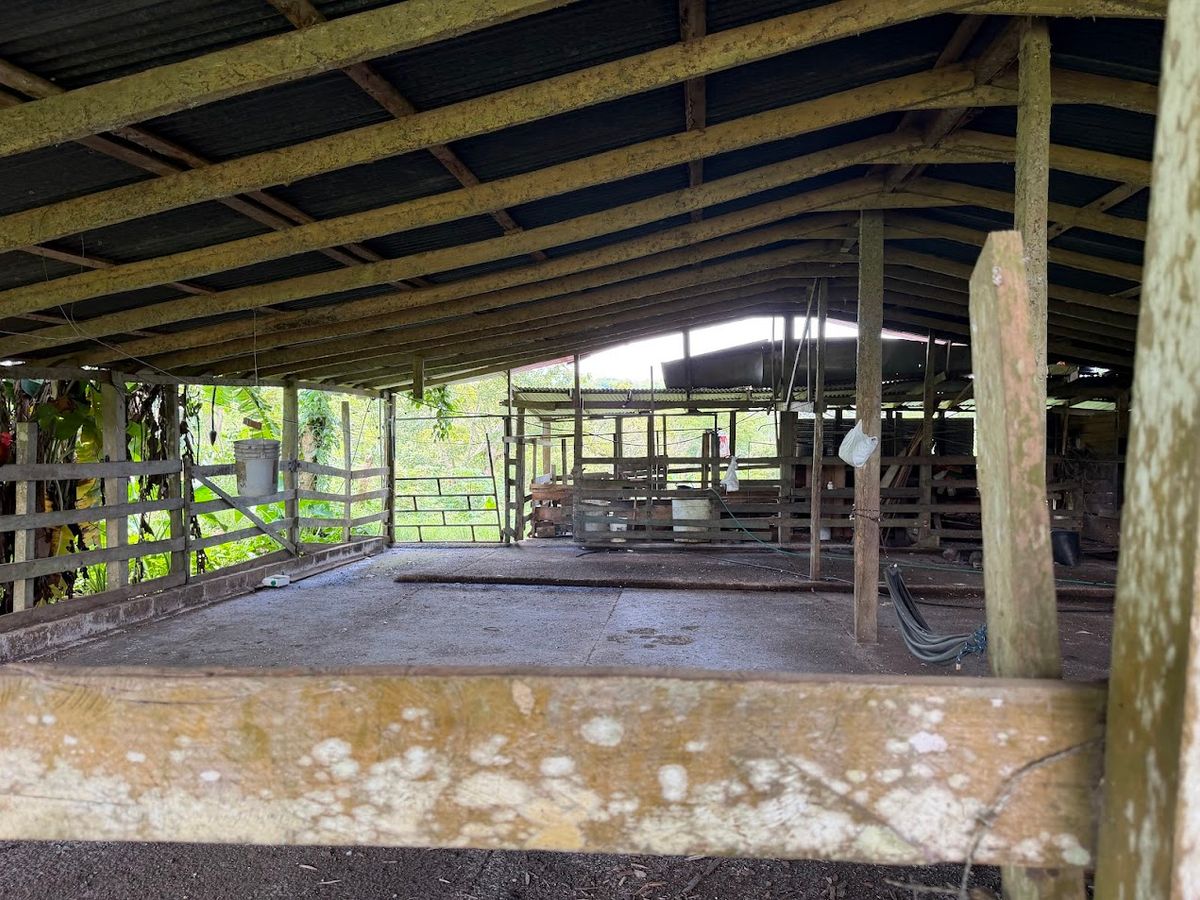 Finca Ganadera entre Upala y Bijagua: Dividida por Vía Nacional