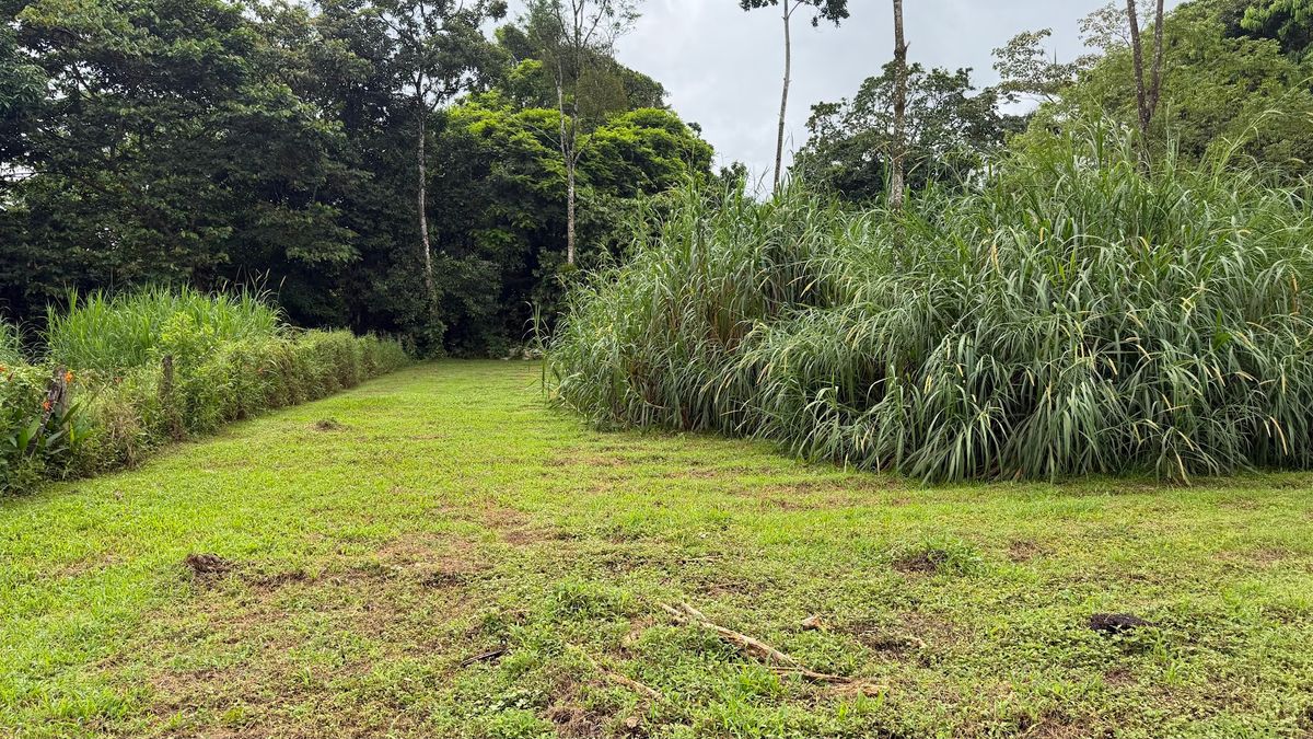Land for Country Home in La Tigra, San Carlos: Bordering River