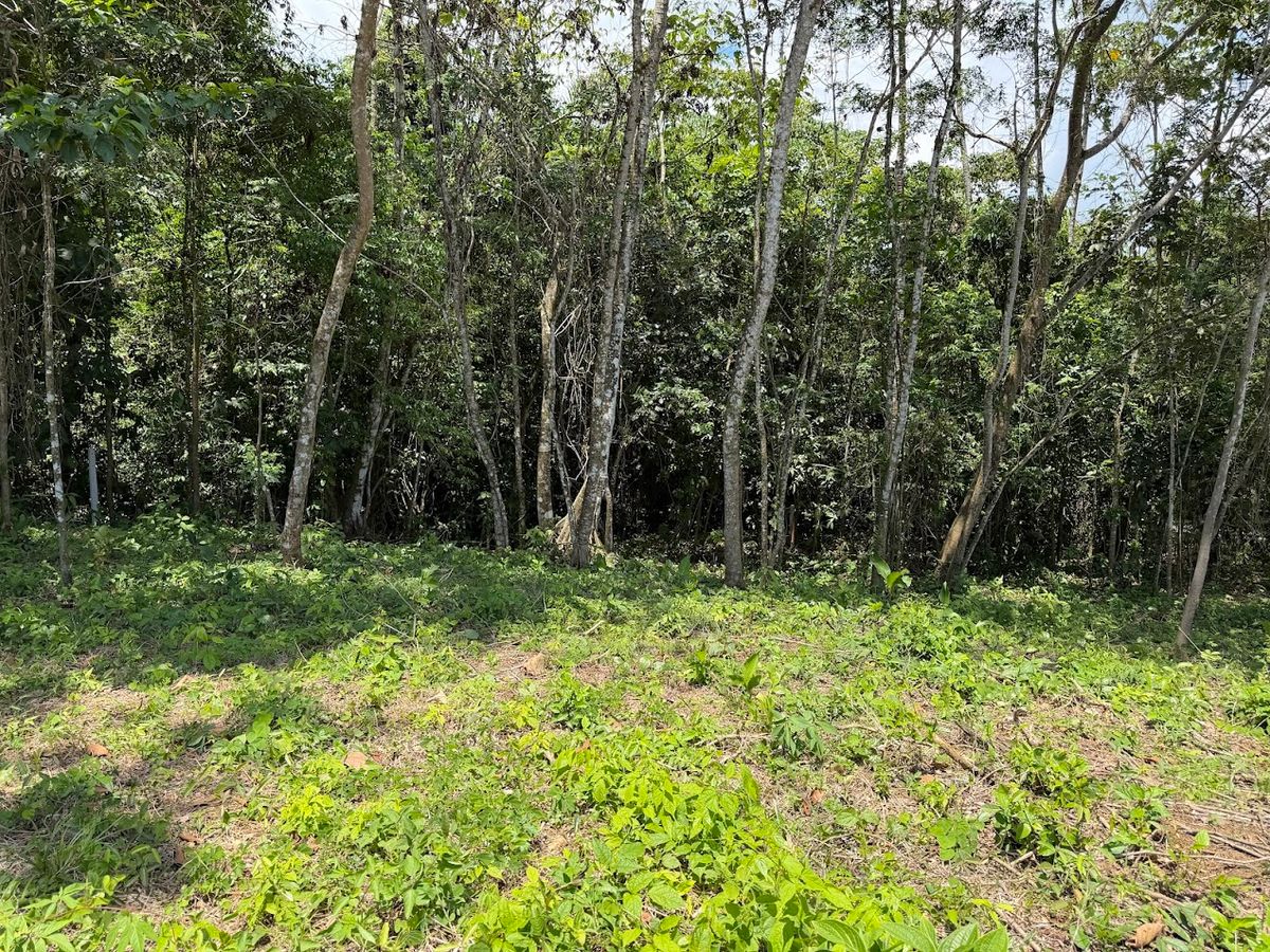 725 sqm Lot in Chachagua: Near La Fortuna & Arenal Volcano