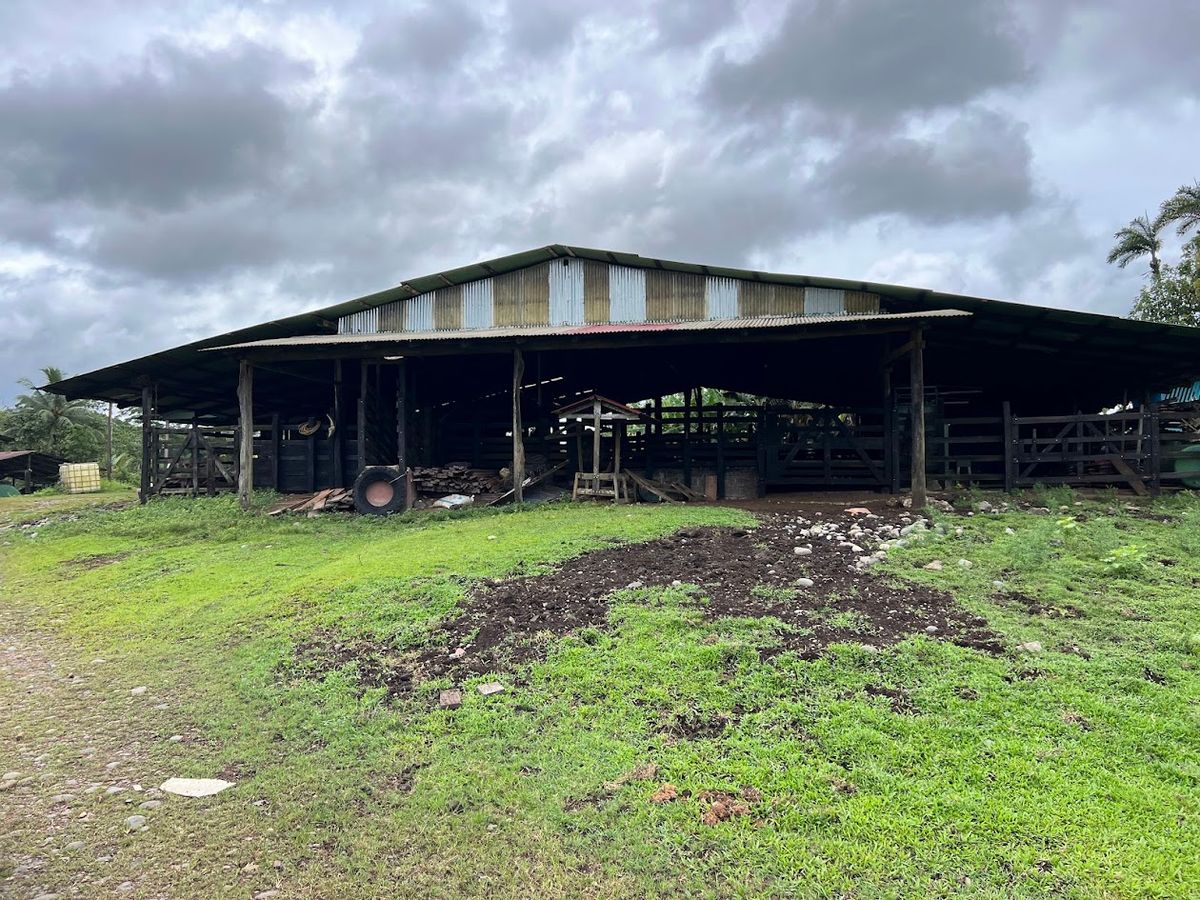 Cattle ranch in Costa Rica, San Carlos