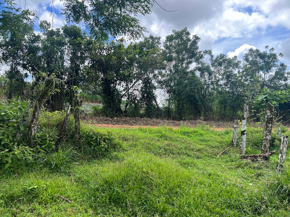 4,036 sqm Versatile Rural Lot in San Jorge de Cutris, San Carlos