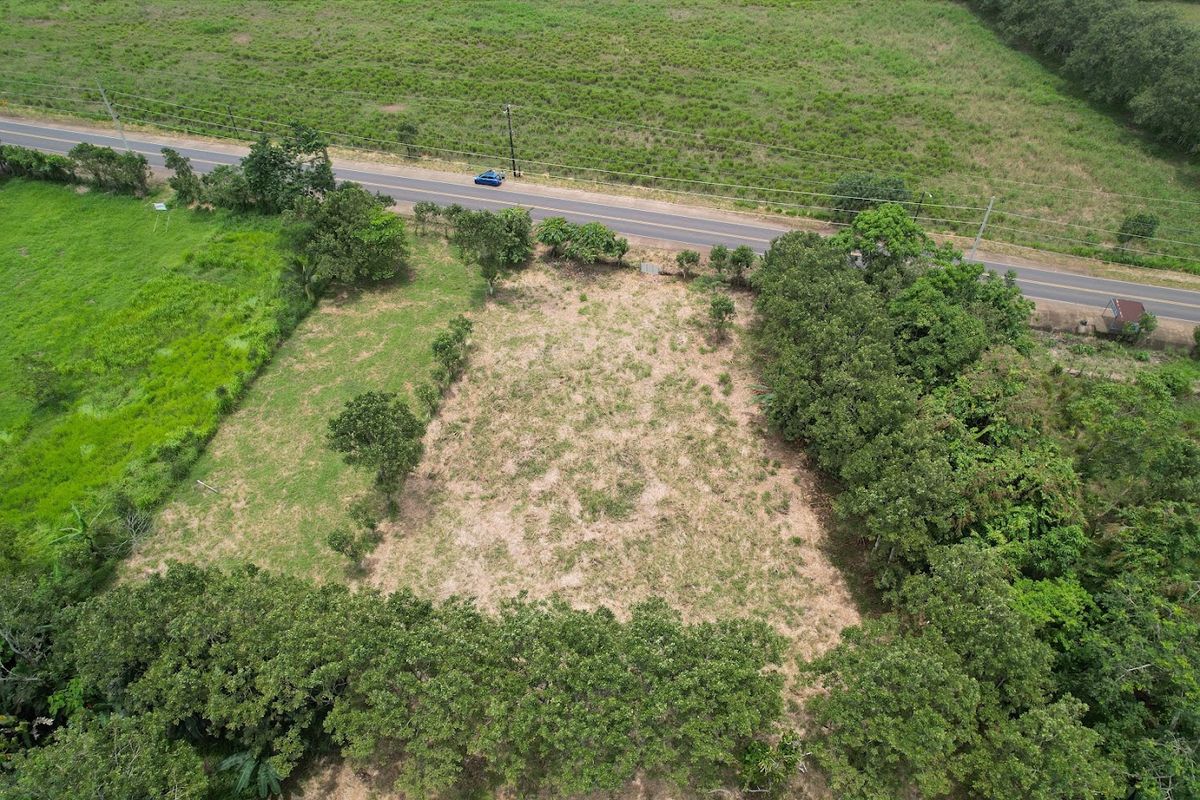 Commercial Land in Boca Arenal: Near Muelle Logistics Hub & Free Trade Zone.