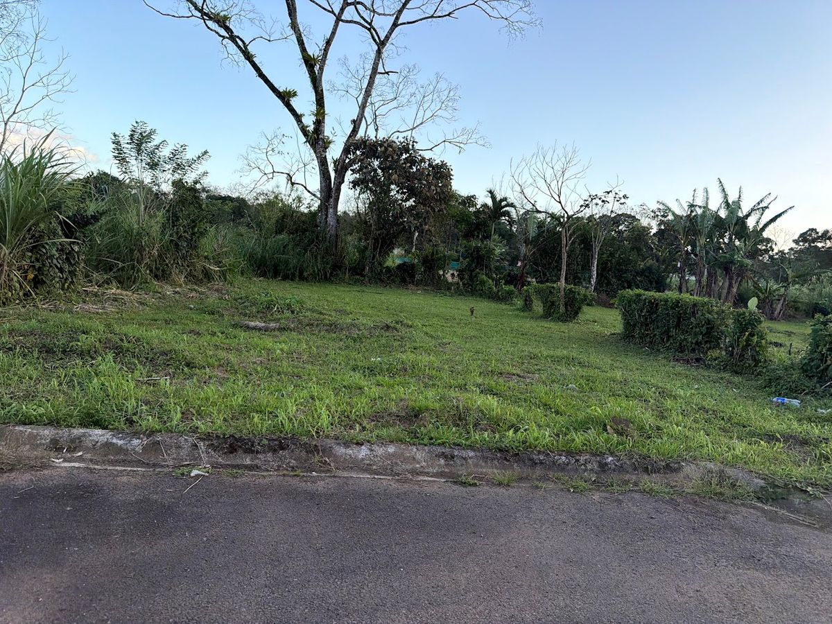 Lote de 400 metros cuadrados en Florencia de San Carlos