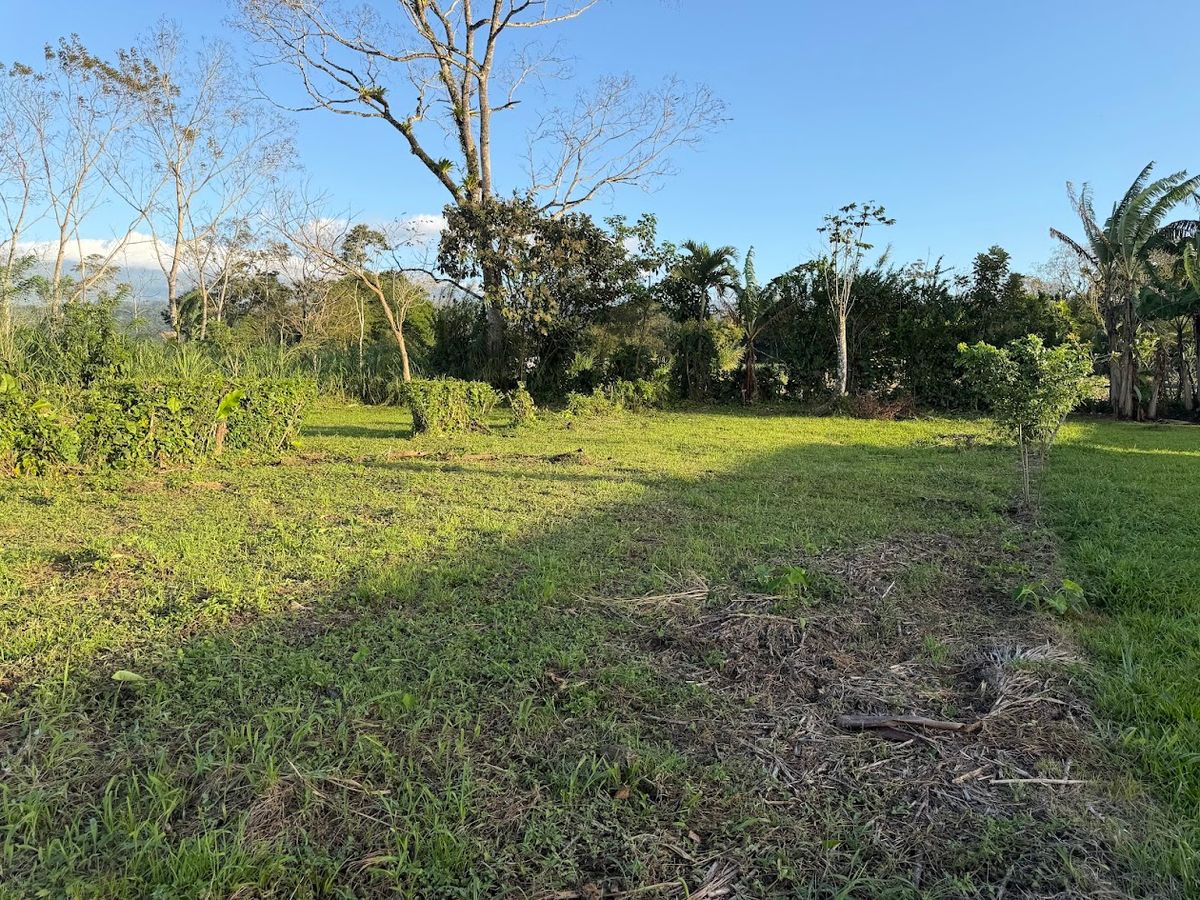 Lote de 400 metros cuadrados en Florencia de San Carlos