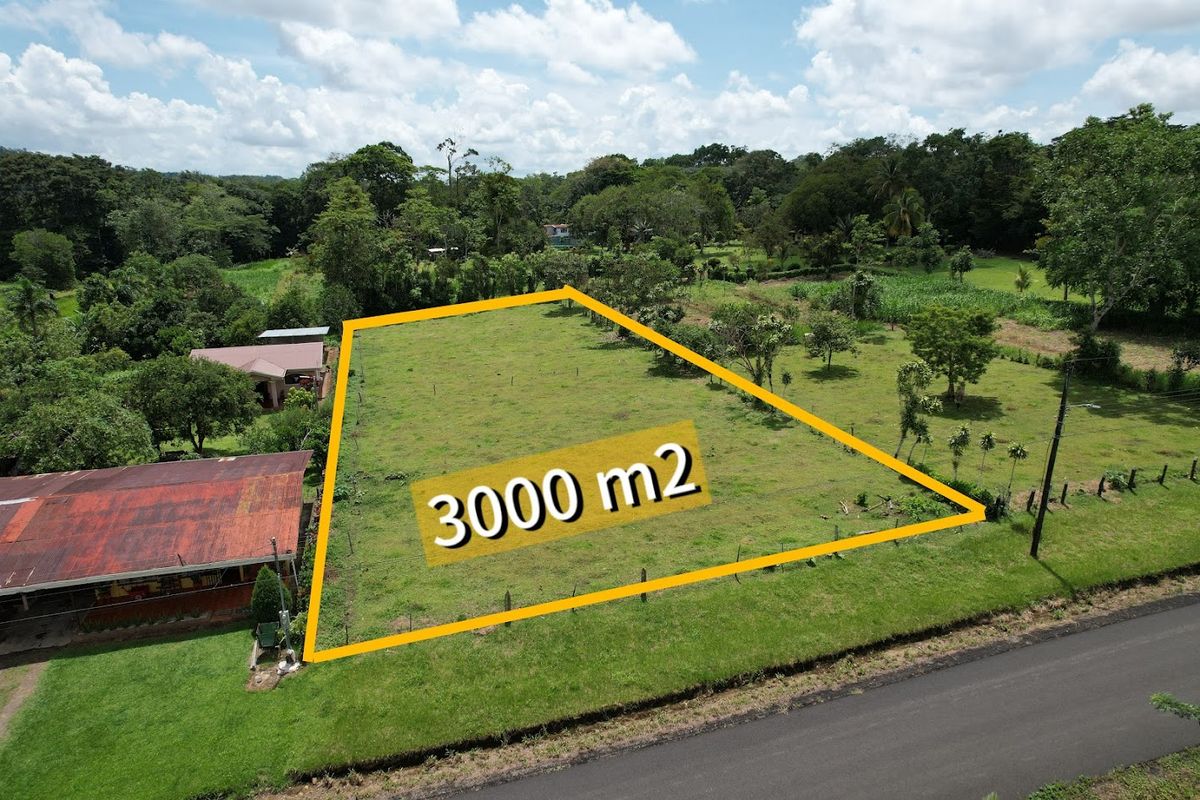 3,000 sqm Flat Lot in La Marina: Ready to Build & Prime Location